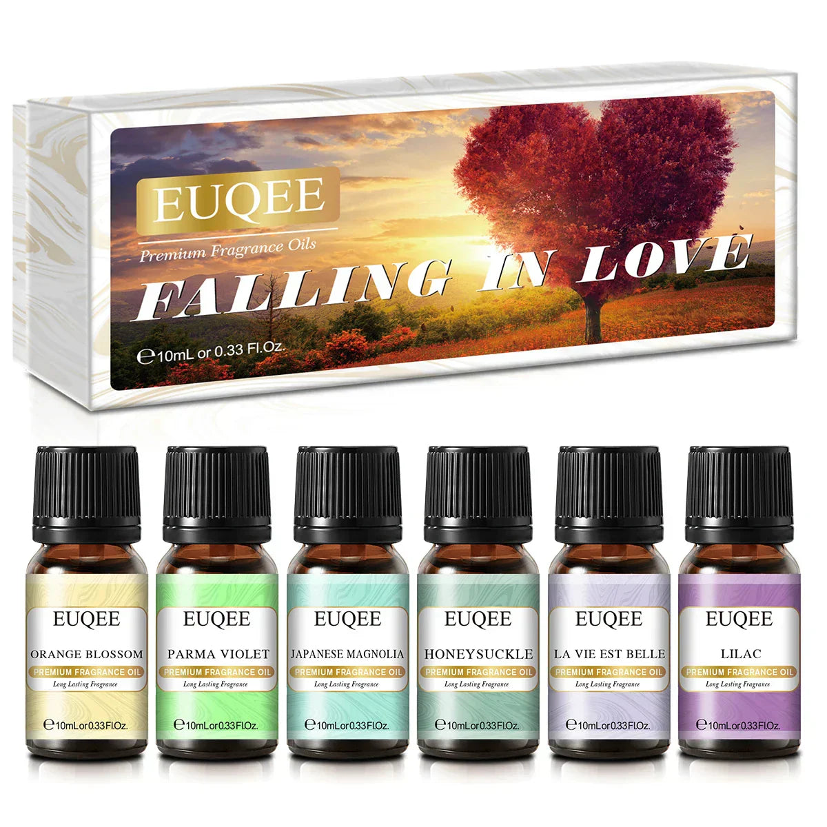 (Pack of 6) EUQEE /set Fragrance Oil Gift Kit For Diffuser Coffee Bakery Harvest Spice Pumpkin Pie Forest Pine Sweet Fruit Aroma Oils