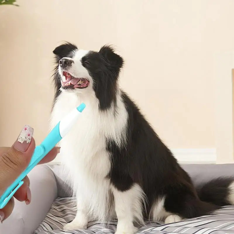 Tick Remover Tweezer Safe Portable Tic Control Puller Flea Remover Hook Clamp Tick Puller for Cat Dog home Pets accessories