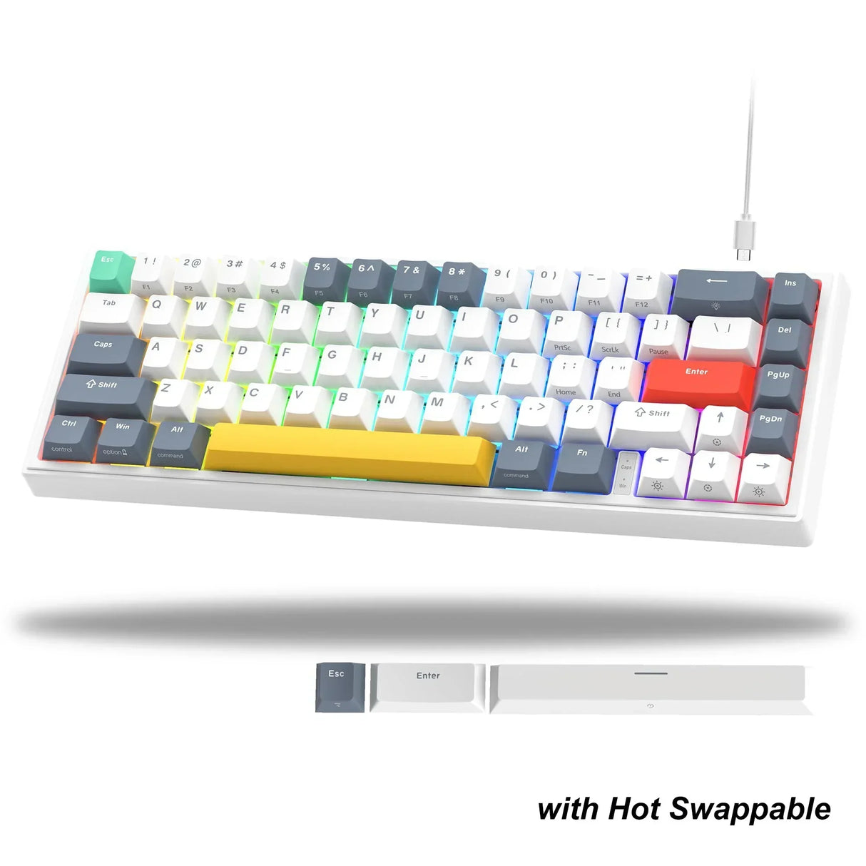 Womier Hot Swappable Mechanical Keyboard Gasket Mounted Gamer Keyboard LED Backlit Wired Gaming Keyboard with Arrow Keys for PC