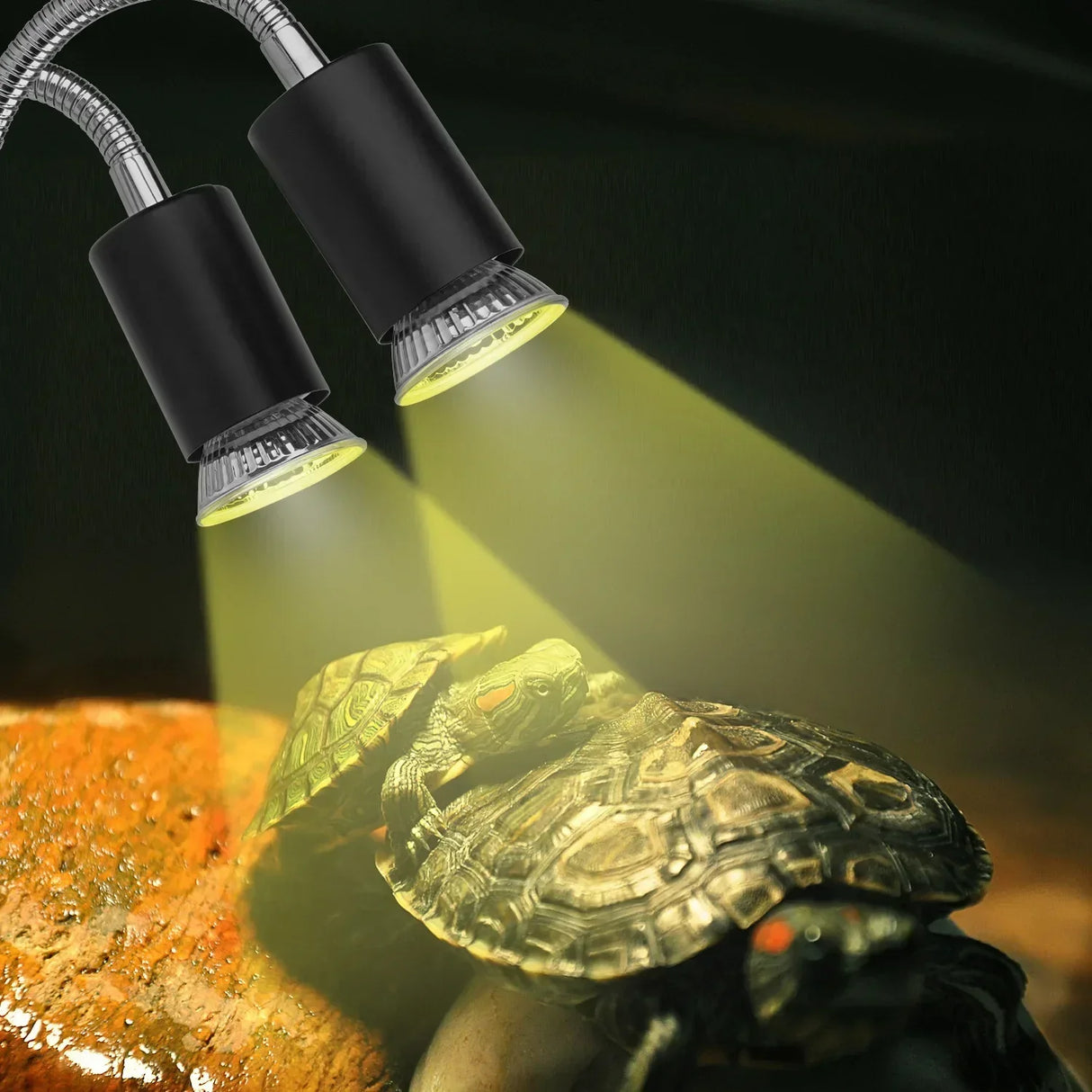 (Pack of 2) iGrowsla Dual-Head Reptile Heat Lamp Light with Timer 2/4/8H, 50W UVA/B Bulb Habitat and Clamp for Turtles, Lizard, Snake