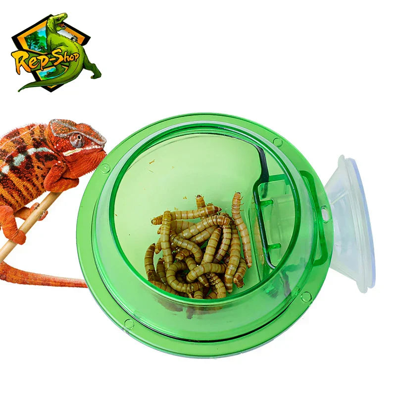 Reptile Feeder Chameleon Feeding Food Bowl Water Dish Suction Cup for Gecko Lizard Bearded Ledge Reptile Terrarium Accessories