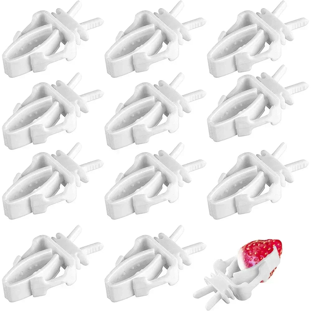 (Pack of 12) Birds Food Holder Pet Parrot Feeding Fruit Vegtable Clip Cuttlefish Bone Feeder Device Pin Clamp Bird Cage Accessories