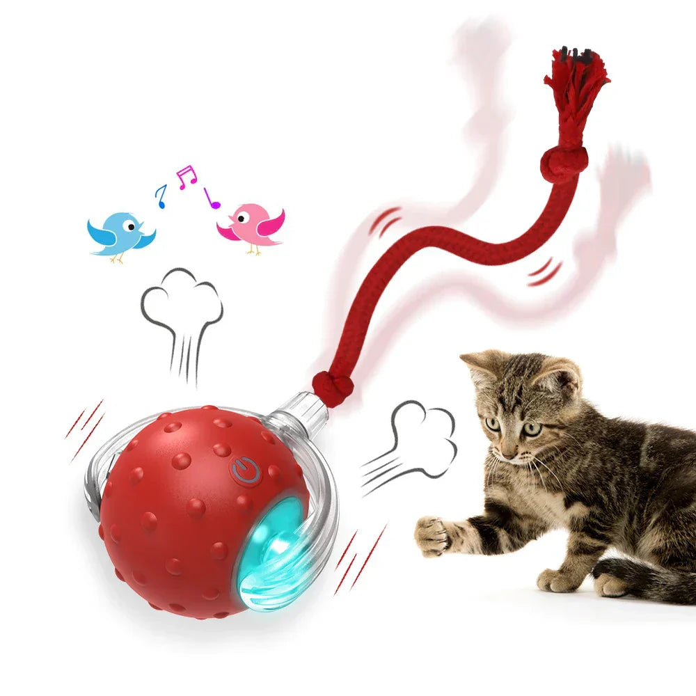 Interactive Bird-Chirping Rolling Cat Toy with Motion Sensor and Teaser Tail