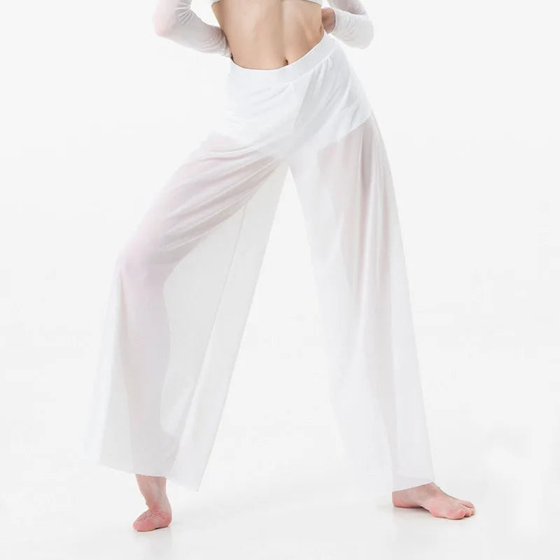 Dance Suit Women Elegant Classical Modern Contemporary Lyrical Dance Practice Mesh Tops Pants Suit Ballet Performance Wear