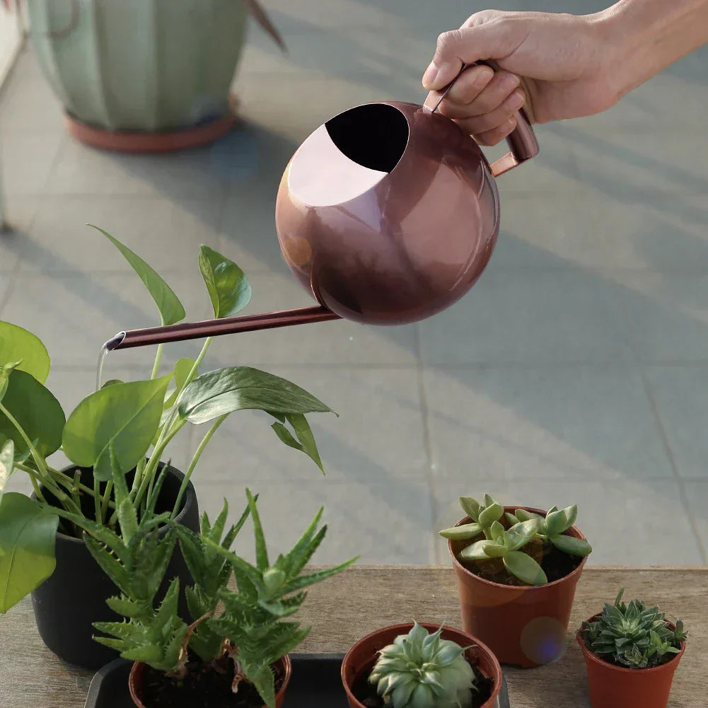1L Stainless Steel Watering Pot Gardening Potted Small Watering Can With Handle For Watering Plants Flower Garden Tool