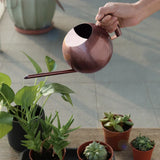 1L Stainless Steel Watering Pot Gardening Potted Small Watering Can With Handle For Watering Plants Flower Garden Tool