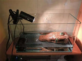 25W UVA&uvb adjust temperature lamps turtle reptile Heat back pet light tortoise calcium solarium aquarium habitat lighting