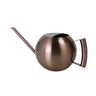 1L Stainless Steel Watering Pot Gardening Potted Small Watering Can With Handle For Watering Plants Flower Garden Tool