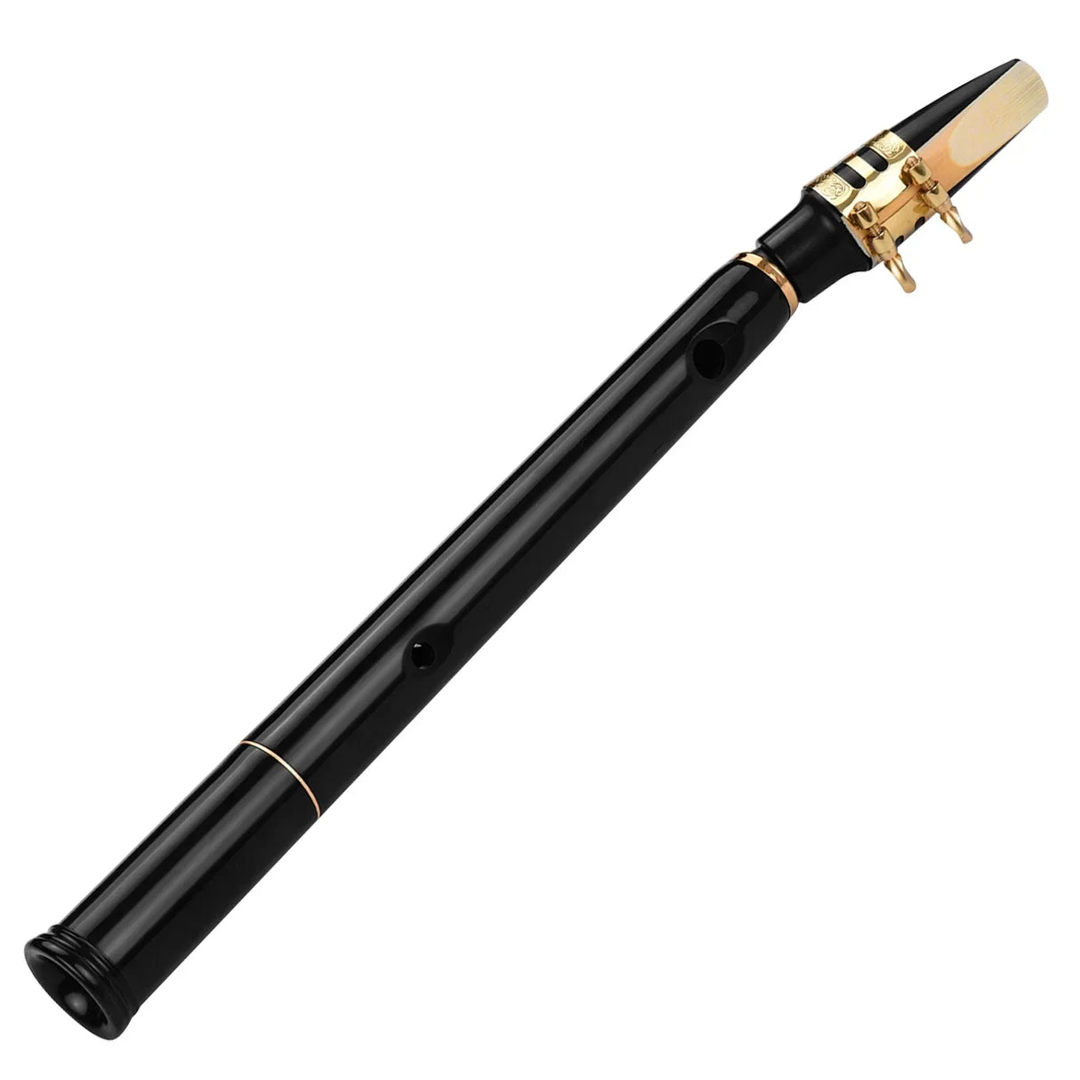 (Pack of 10) HiXing C Key Mini Pocket Saxophone Sax ABS Material Mini Sax & Mouthpieces Reeds Carrying Bag Woodwind Instrument Muslady