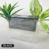 19cmx12.5cmx7.5cm Terrarium For Reptiles Spider Transparent Plastic Feeding Box Insect Food Feeding Container terrarium bowls
