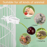 (Pack of 12) Birds Food Holder Pet Parrot Feeding Fruit Vegtable Clip Cuttlefish Bone Feeder Device Pin Clamp Bird Cage Accessories