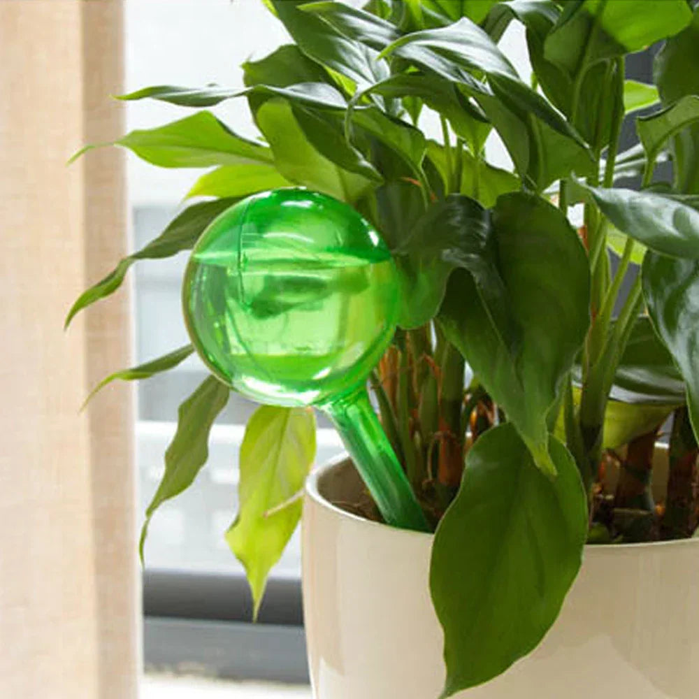 (Pack of 10) 3/6/ Automatic Plant Watering Bulbs Self Watering Globe Balls Water Device Drip Irrigation System for Garden Flower Plants