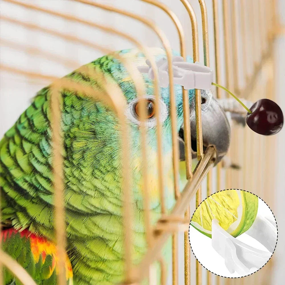 (Pack of 12) Birds Food Holder Pet Parrot Feeding Fruit Vegtable Clip Cuttlefish Bone Feeder Device Pin Clamp Bird Cage Accessories