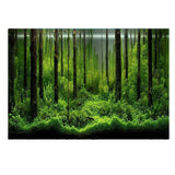 5 Size 3d Aquarium Background Poster PVC Adhesive Sticker Fish Tank Underwater World Paper Landscape Wallpaper Decoration