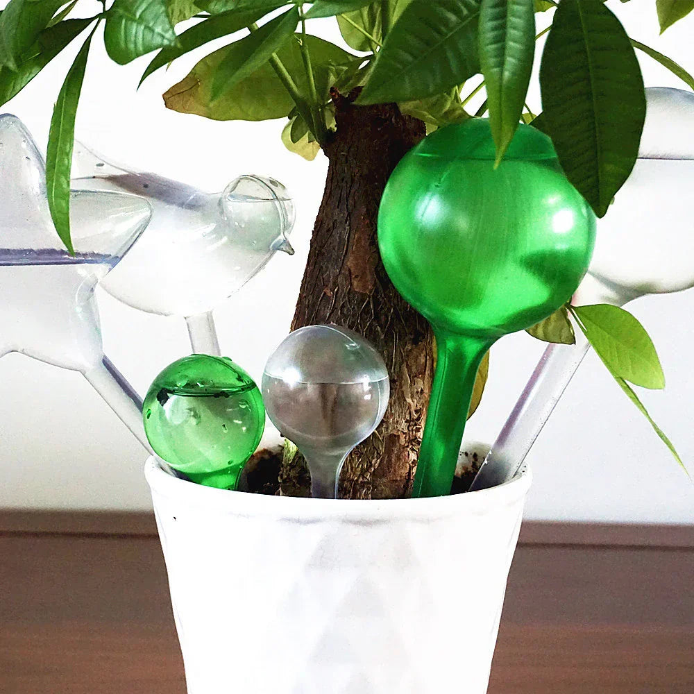 (Pack of 10) 3/6/ Automatic Plant Watering Bulbs Self Watering Globe Balls Water Device Drip Irrigation System for Garden Flower Plants